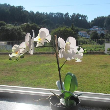 Willa Al Casa De Sao Roque Caminha Zewnętrze zdjęcie